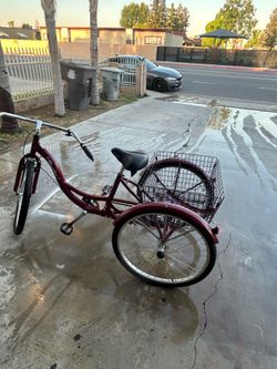 Schwinn Meridian Tricycle