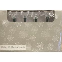 Disney Christmas Lights