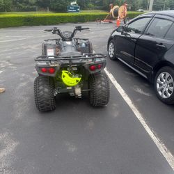 Kawasaki brute force 300
