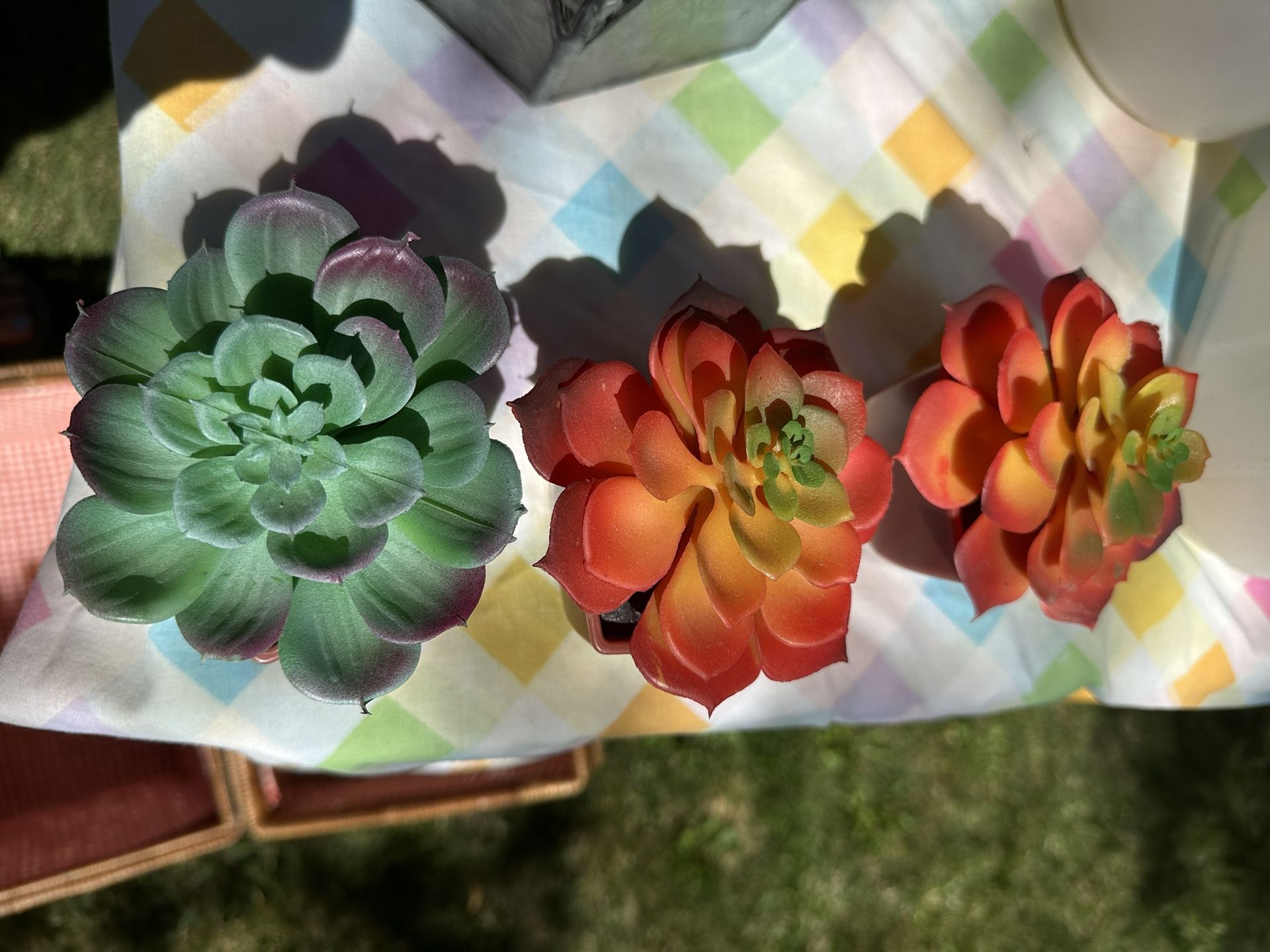 3 Artificial Succulents