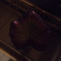 Glass Leaf