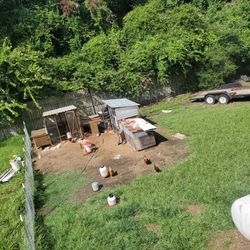 Large Chicken Coop For Sale 