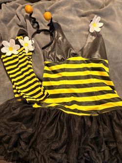 Honey Bee costume