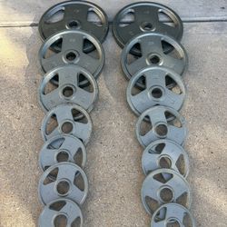 WEIDER  Olympic Barbell Grip Weight Plates $250   