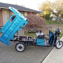 Iret 13 Utility E Trike Truck