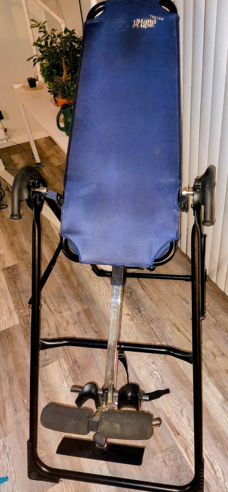Back Inversion Table