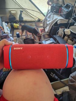 Sony exbass