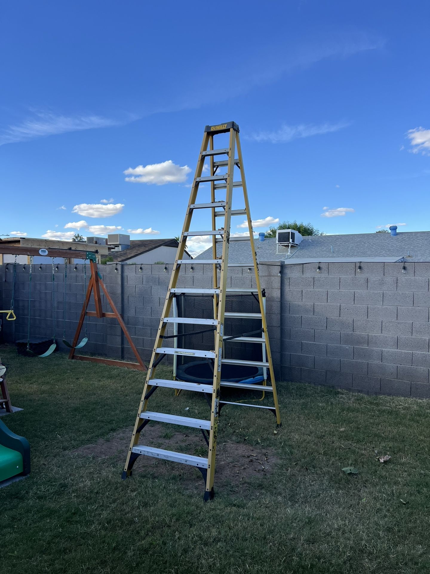 Tall Big Dewalt Ladder 12 Foot 300lbs Twelve Foot Ladder