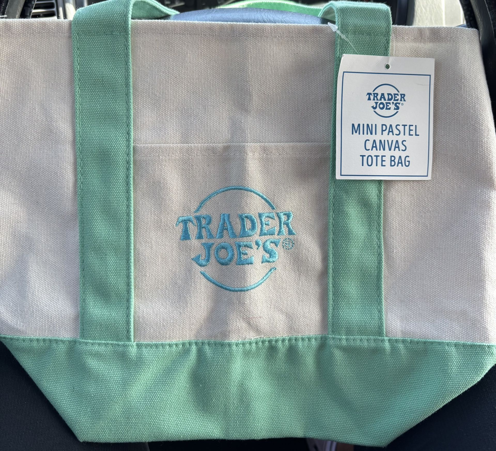 Trader Joes Mini Tote Bag Pastel GREEN