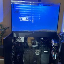 Waterbox Marine X 90 Tank