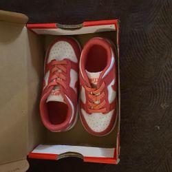 Nike ~ Low Top Dunks (children’s) Size 8c