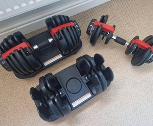 BOWFLEX weight bench and dumbbells