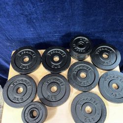 NEW 45 lbs of Weight Plates 