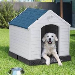 Dog House 