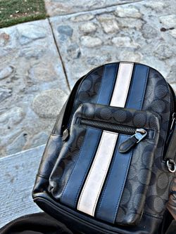 Coach Man Bag