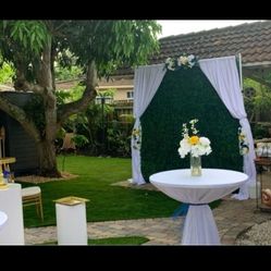 Grass Wall Backdrop For Sale