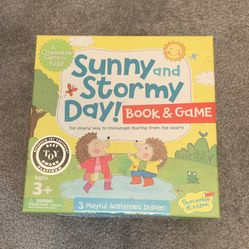 Sunny and Stormy Day Game