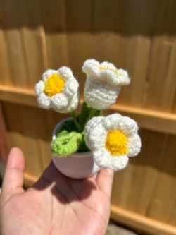Crocheted flowers