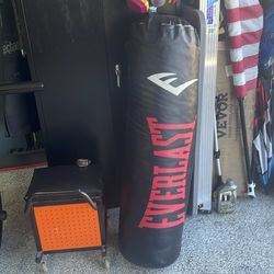 100 lb heavy bag