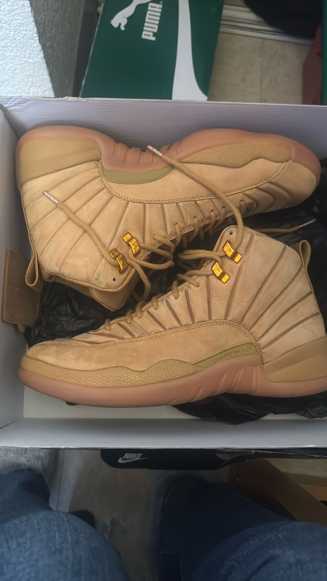 Air Jordan 12 Retro