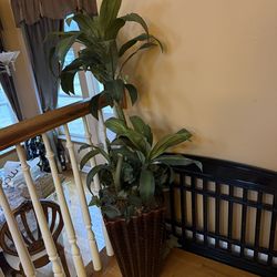 Fake plant