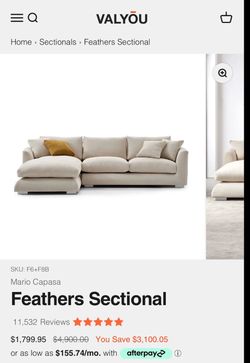 Valyou Feathers sectional (couch)