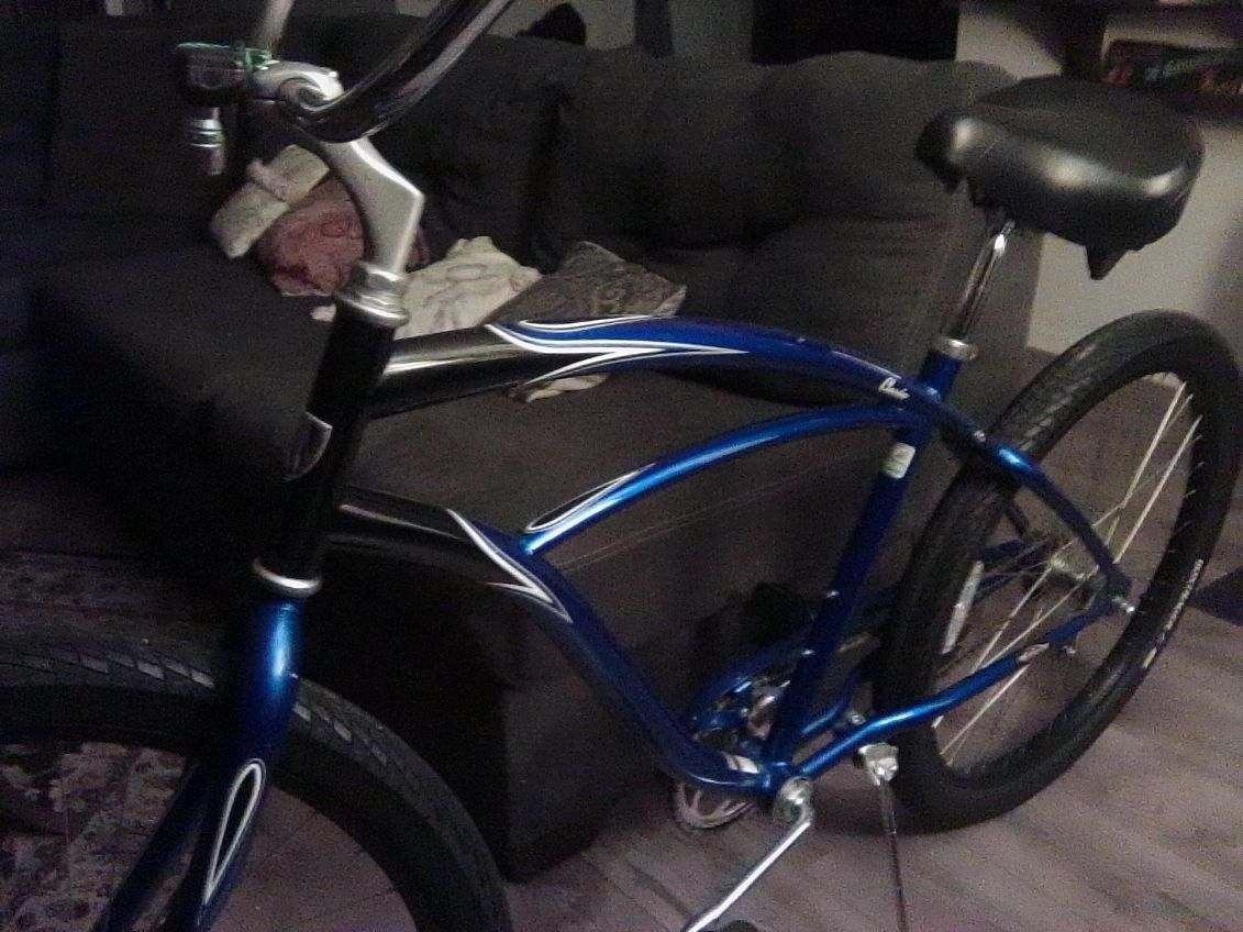 Trek Cruiser Bike