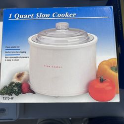 1 Quart Slow Cooker