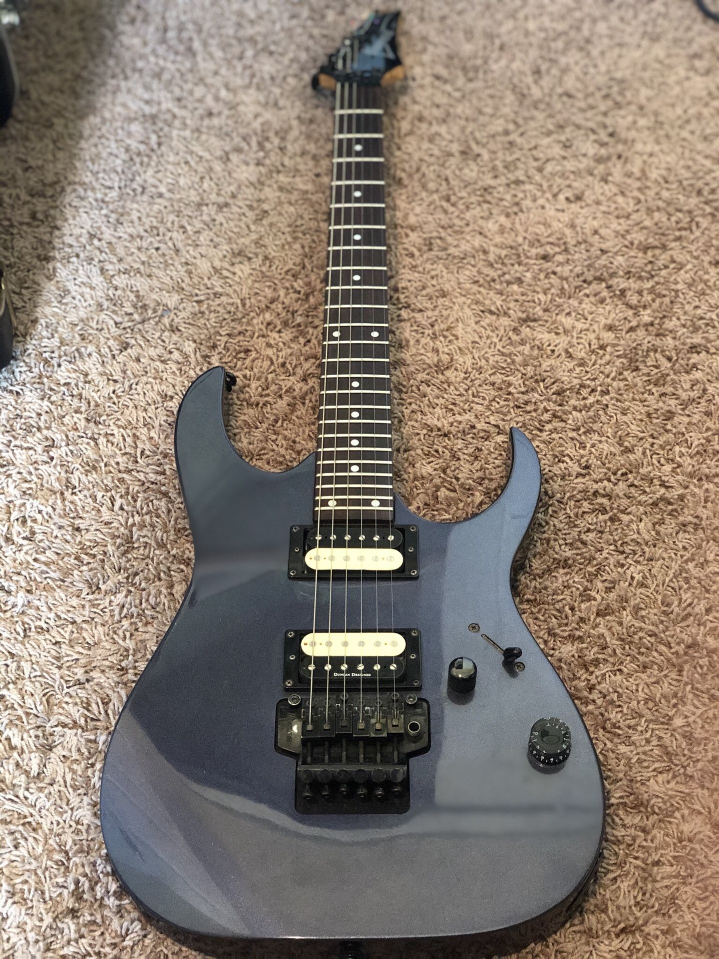 Ibanez rg 220b online