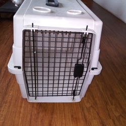 Dog Kennel 