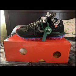 Off white Nike Terra Kiger 5 (10W)(8.5M)