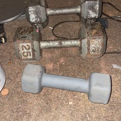 Weights Exercise 