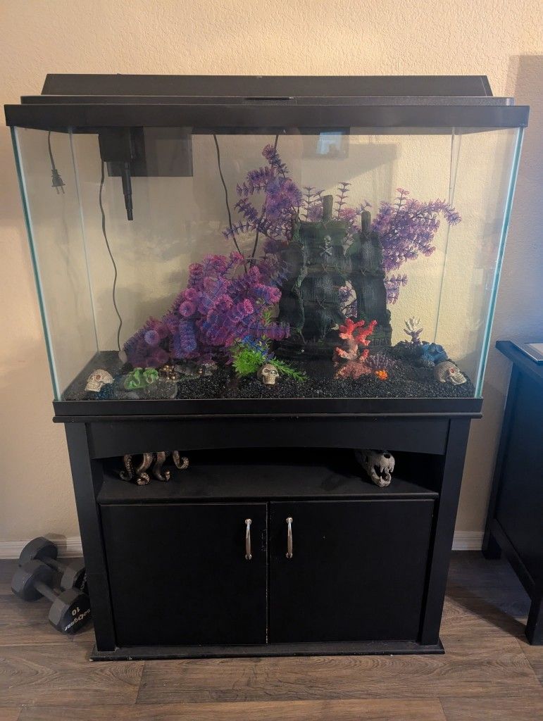 Never Been Used Fish Tank