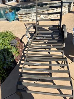 2 patio lounge chairs with cushions