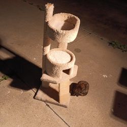 Torre Para Gatos   