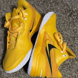 Nike Zoom LeBron NXXT Gen AMPD