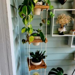 Hanging Plant Stands