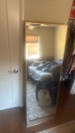 Full Body Mirror