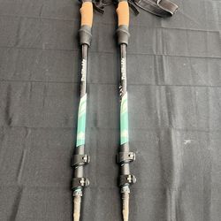 Trail buddy adjustable hiking sticks