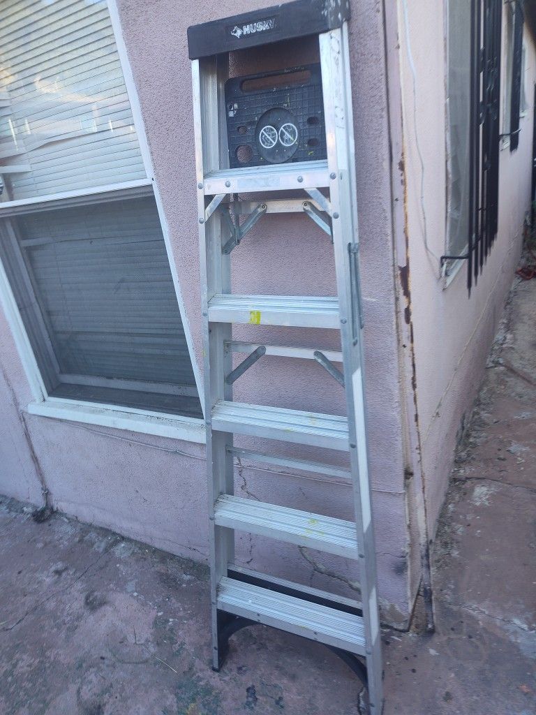 Ladder 6'