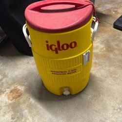 Igloo Cooler