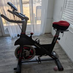 Dmasun Exercise Bike