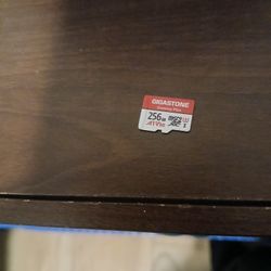 256 GB SD Card