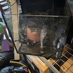 IM 15 Gal Cube Aquarium 