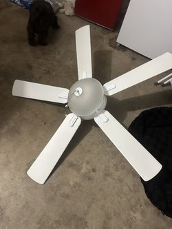 White Fan