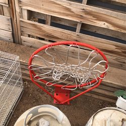 Basketball 