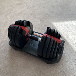 52.5 LB Adjustable Dumbell