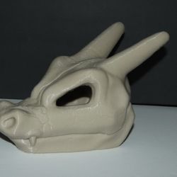 Charizard Skull 