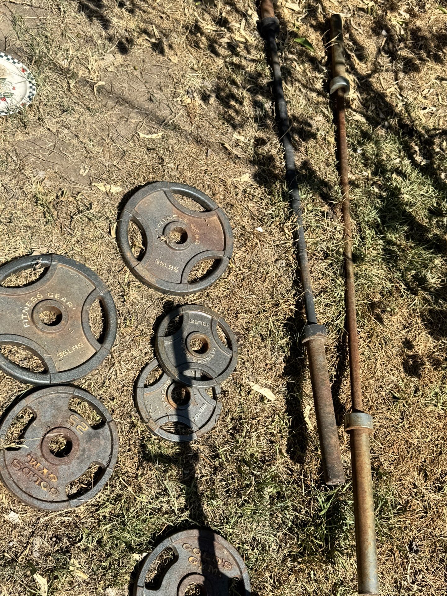 Weight Plates And Barbells