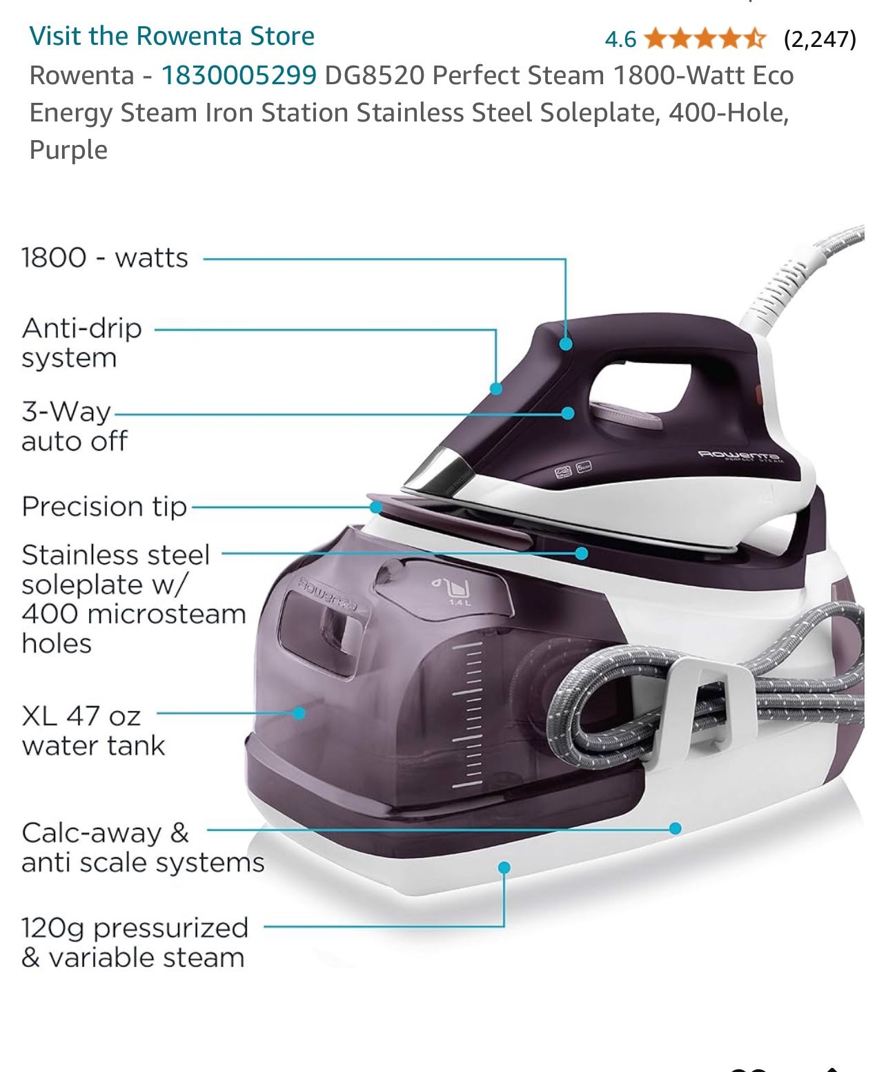 Rowenta iron Steamer